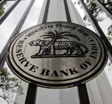 Economy exhibiting resilience, to grow at 6.6% in FY25: RBI