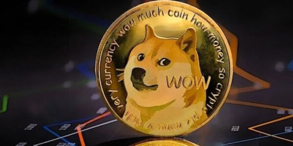 Dogecoin's Remarkable Surge: Large Transaction Volume Spikes 41% as Network Activity Intensifies